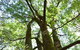 Monga National Park - thumb 3
