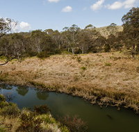 Werrikimbe National Park - Holiday Find