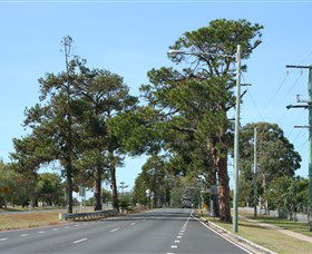 Anzac Memorial Avenue, Redcliffe - Holiday Find 2