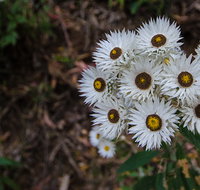 Hastings Forest Way touring route - Holiday Find