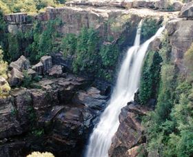 Minnamurra Rainforest Centre: Budderoo National Park - Holiday Find 0