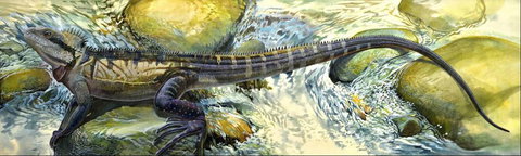 Manning Regional Art Gallery - Holiday Find 4