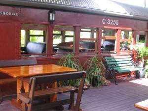 Red Rattlers Gallery - Holiday Find 5