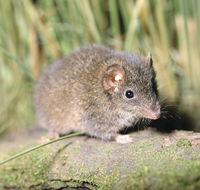 Munmorah State Conservation Area - Holiday Find