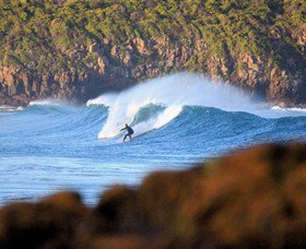 Killalea Beach - Holiday Find 2
