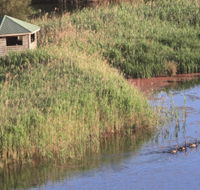 Spring Creek Bird Hide - Holiday Find