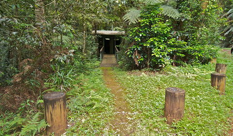 Brindle Creek Picnic Area - Holiday Find 0