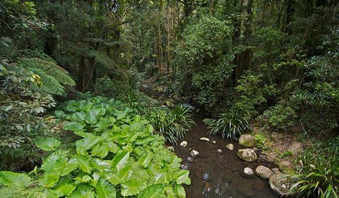 Brindle Creek Picnic Area - Holiday Find 1