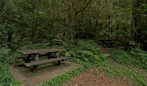 Brindle Creek Picnic Area - Holiday Find 2