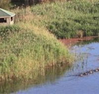 Spring Creek Wetlands Walk - Holiday Find