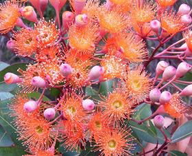 Peaceful Bay - Holiday Find 2