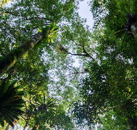 Botanic walk - Holiday Find