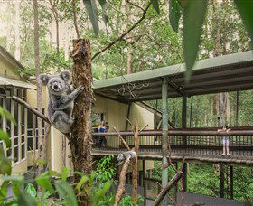 Daisy Hill Koala Centre - Holiday Find 0
