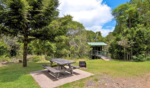 Antarctic Beech Picnic Area - Holiday Find 1