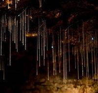 Tamborine Mountain Glow Worm Caves - Holiday Find