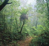 Wagawn - Holiday Find