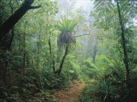 Wagawn - Holiday Find 0