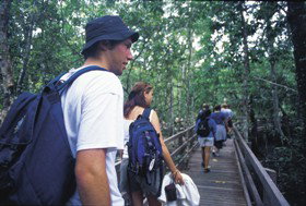 Wagawn - Holiday Find 1