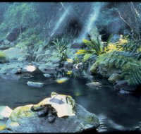 Coomera circuit - Holiday Find