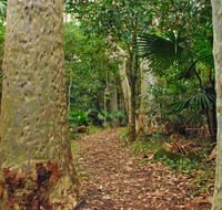 Depot Beach Rainforest walk - Holiday Find