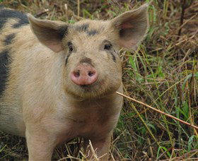 Bent On Food Cookery School - Holiday Find 5