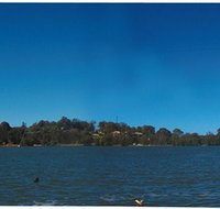 Cable Ski Logan - Holiday Find