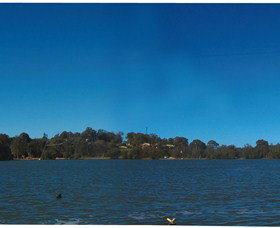 Cable Ski Logan - Holiday Find 0