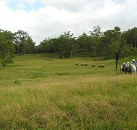 Numinbah Valley Adventure Trails - Holiday Find