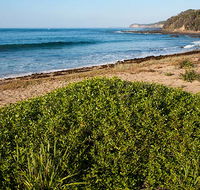 Richmond Beach - Holiday Find