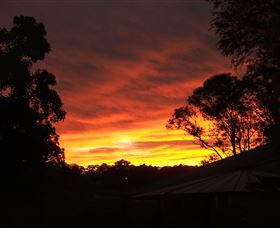 Tinonee Museum - Holiday Find 0