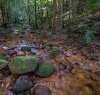 Starrs Creek picnic area - Holiday Find