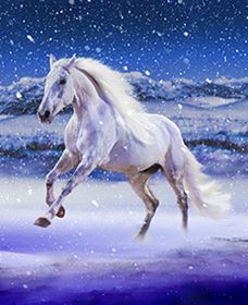 Australian Outback Spectacular: High Country Legends - Holiday Find 1