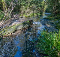 Dawson River walking track - Holiday Find