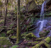 Coorabakh National Park - Holiday Find