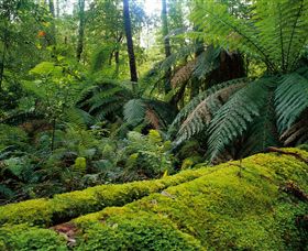 Club Terrace VIC Holiday Find