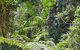 Goorgana Walking Track - thumb 1