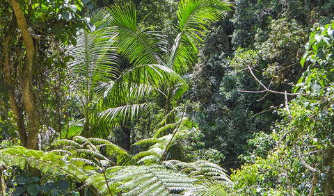 Goorgana Walking Track - Holiday Find 1