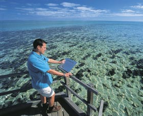 Hamelin Pool Stromatolites - Holiday Find 2