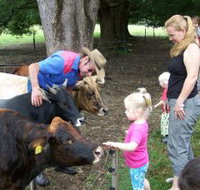 Crystal Creek Miniatures - Holiday Find