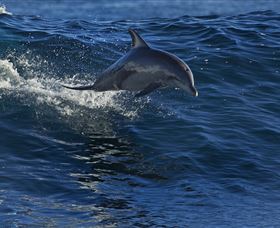 Town Centre - Holiday Find 1