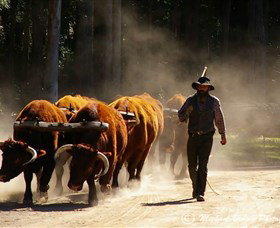 Timbertown Heritage Theme Park - Holiday Find 1