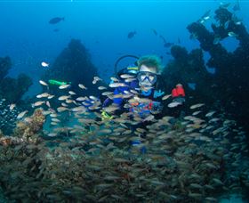 Aarhus Dive Site - Holiday Find 0