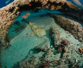 Aarhus Dive Site - Holiday Find 3