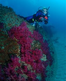Aarhus Dive Site - Holiday Find 2