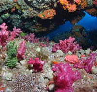 Cherubs Cave Dive Site