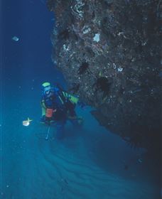 Scottish Prince Dive Site - Holiday Find 1