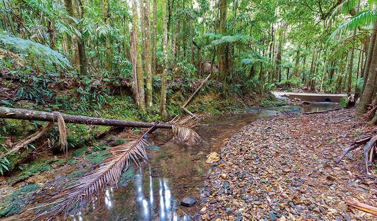 Karangi NSW Holiday Find
