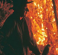 The Shed Gallery - Holiday Find