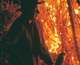 The Shed Gallery - Holiday Find 0