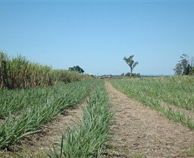 The Shed Gallery - Holiday Find 1